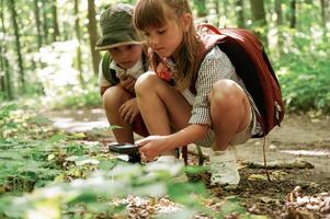 Sitting, looking ,at the plants. Kids in forest at summer daytime together photo