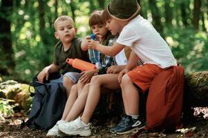 Kids in, forest at summer daytime, together photo