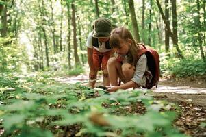 Sitting,, looking at the plants. Kids in forest at summer daytime together photo