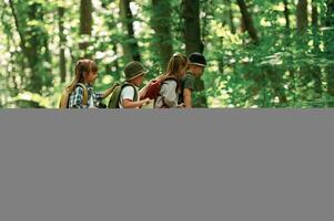 Discovering, new place. Kids in forest at summer daytime together photo