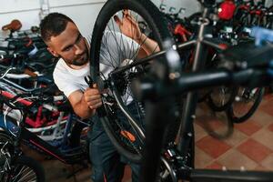 Rear wheel adjustment.. Repair man in bicycle shop, working in store photo