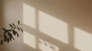 Bright creating filtering through window blinds sunlight geometric shadow patterns across verdant houseplant leaves photo