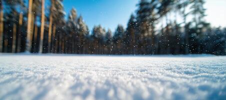 blurring snowflakes drifting over pristine white winter soft evergreen silhouettes Delicate landscape, scenery photo