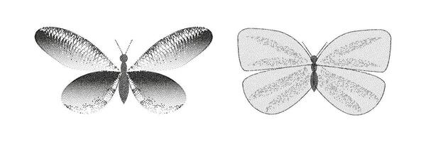 Two black and white drawings of butterflies vector