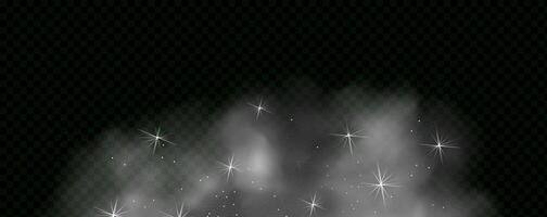 A black and white image of a star with a sparkle vector