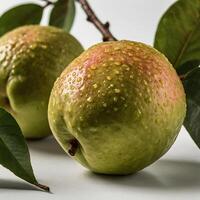 Fresh Guava in High Resolution photo