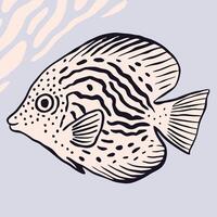 Pink and Black Angelfish Illustration, Aquatic Life Drawing vector