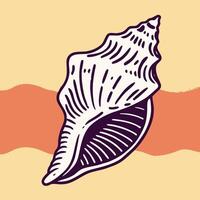 Seashell illustration, summer beach graphic, conch shell drawing vector