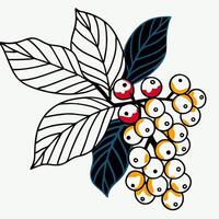 Stylized Berries and Leaves Branch Graphic Design Element vector