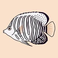 Striped Angelfish Illustration Black and White Fish Drawing vector