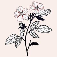 Elegant Line Art Floral Design Two White Flowers with Black Leaves vector