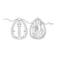 one line art Walnut illustration. line art, one continuous line, simple, hand drawn and sketch style. for icons, symbols, signs or logos vector