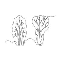 one line art Lettuce illustration. line art, one continuous line, simple, hand drawn and sketch style. for icons, symbols, signs or logos vector