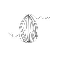one line art Almond illustration. line art, one continuous line, simple, hand drawn and sketch style. for icons, symbols, signs or logos vector