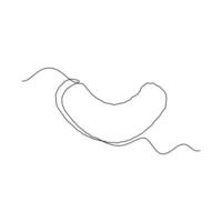one line art Cashew Nut illustration. line art, one continuous line, simple, hand drawn and sketch style. for icons, symbols, signs or logos vector
