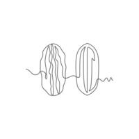 one line art Pecan Nut illustration. line art, one continuous line, simple, hand drawn and sketch style. for icons, symbols, signs or logos vector