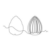 one line art Hazelnut illustration. line art, one continuous line, simple, hand drawn and sketch style. for icons, symbols, signs or logos vector