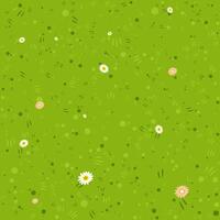 Abstract Green Meadow Daisy Floral Pattern Background Design vector
