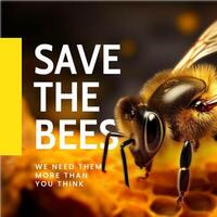 Save The Bees Caraousel Instagram Post template