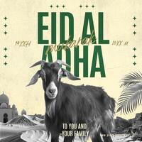 eid al adha social media post template