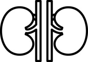 A kidney icon on a white background vector