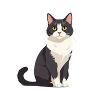 Realistic depiction of a charming tuxedo cat vector