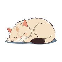 Sleeping cute cat vector