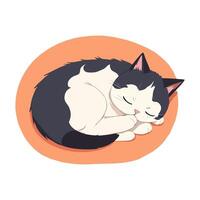 Sleeping black and white cat on an orange circle vector