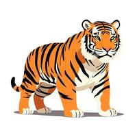 Majestic tiger walking with confidence vector