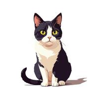 Charming tuxedo cat posing vector