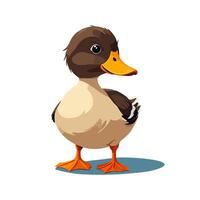 Cute duck with orange beak and brown head vector
