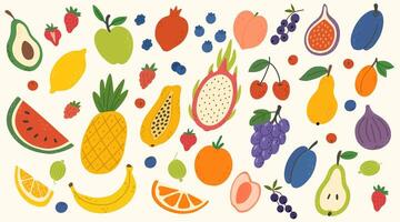 Set of various tropical fruits. Hand drawn colorful fruits and berries in doodle style. Banana, pineapple, peach, strawberry, raspberry, pear, pineapple, lemon, orange, dragon fruit, avocado, papaya vector