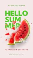 Hello Summer Watermelon Season Instagram Story template