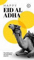 White Eid Al Adha for Instagram Story Template