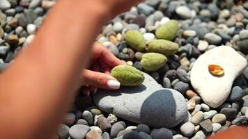 Beach stones pebbles. Person arranges pebbles on beach on sunny day for creative, relaxing activity. video