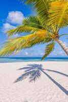 Sunny beach with swaying palm leaves bright light and soft sand creating a vibrant tropical escape full of warmth and natural beauty photo