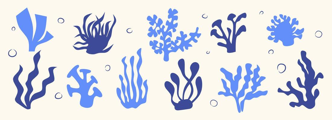 Set of Seaweeds and coral reef underwater plants collection. Aquarium, ocean and marine algae water plants, corals isolated on white. Seaweeds polyps silhouettes. Branches, twigs and flowers.