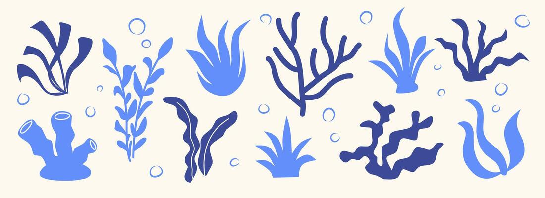 Set of Seaweeds and coral reef underwater plans collection. Aquarium, ocean and marine algae water plants, corals isolated on white. Seaweeds polyps silhouettes. Branches, twigs and flowers.