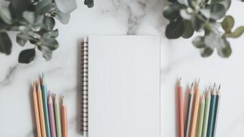 Notebook, pencils, and plant on marble table photo