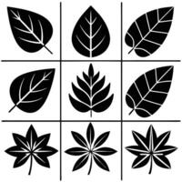 Assortment of simple black and white leaf illustrations in various styles arranged in a grid vector