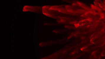 abstrato vermelho vidro fundo. vermelho científico químico cyber fundo. realista abstrato lindo vermelho cristal estrutura com brilho efeito. científico vermelho espaço minimalista 4k 60fps vj laço. video