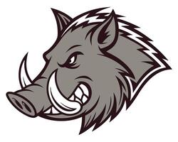 Fierce wild boar mascot in grey and white illustration for sport logos vector