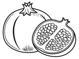 Black and white illustration of a whole pomegranate and a halved pomegranate showing the seeds inside. vector