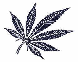 Elegant illustration of a cannabis leaf graphic in a minimalist and artistic design style vector