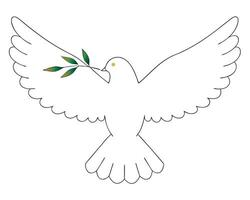 Simple white dove symbol of peace carrying an olive branch representing harmony and unity vector