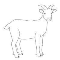 Outlined cartoon illustration of a standing goat with curved horns and simple clean lines. vector