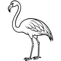 Elegant outline illustration of a flamingo in black and white minimalist design vector