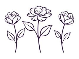 Delicate illustration featuring three elegant rose flower outlines on a clean white background vector