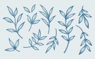 Set of hand drawn leaves. Blue foliages collection. Botanical illustration. vector