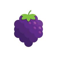 A purple grape on a white background vector